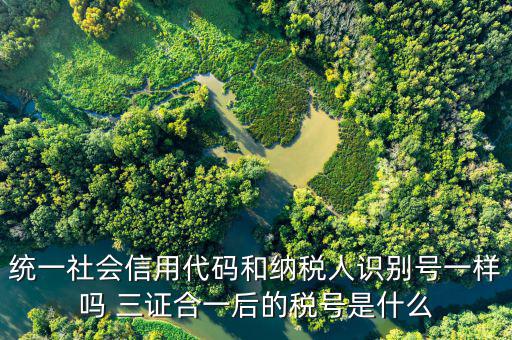 無(wú)證合一后稅號(hào)是什么意思，五證合一之后怎么查看稅號(hào)