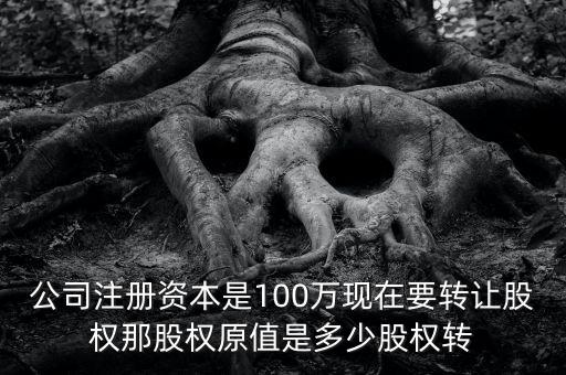 股權原值是什么意思，公司注冊資本是100萬現(xiàn)在要轉(zhuǎn)讓股權那股權原值是多少股權轉(zhuǎn)