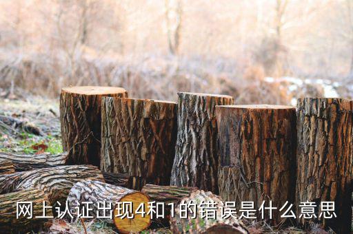 認證發(fā)票4是什么問題，認證發(fā)票通常會碰到哪些問題