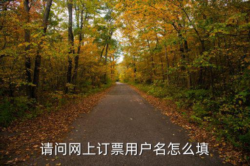 預(yù)約發(fā)票用戶名是什么，開票客戶名稱是指