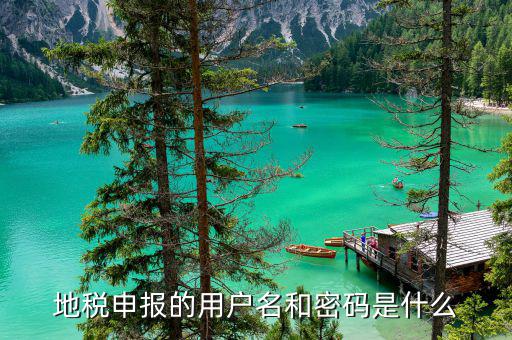 山東省地稅報稅的賬號是什么，地稅網(wǎng)上申報用什么帳號