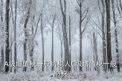 B級(jí)納稅人有什么影響，稅局把公司b級(jí)降到c級(jí)有什么影響嗎