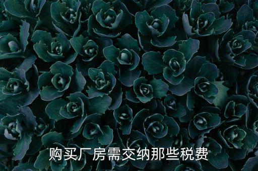 個(gè)人買廠房交什么稅，請(qǐng)問在重慶購(gòu)買一手廠房需要交納那些稅費(fèi)具體稅率是多少注