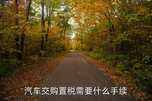 汽車購置稅要什么手續(xù)，購買車輛購置稅需要哪些手續(xù)