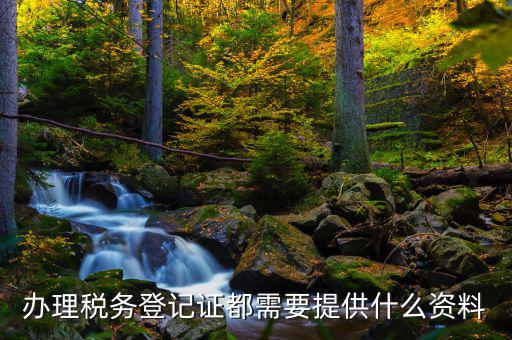稅務(wù)實(shí)名登記需要什么資料，辦理稅務(wù)登記證都需要提供什么資料