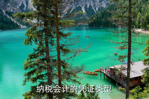 應(yīng)納稅憑證種類是什么意思，總賬里關(guān)于記賬憑證的種類和號(hào)數(shù)是什么意思