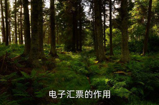 電子發(fā)票作用是什么，電子發(fā)票系統(tǒng)能做什么用