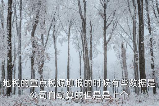 為什么重點(diǎn)稅源是上個(gè)月的數(shù)據(jù)，地稅的重點(diǎn)稅源填報(bào)的時(shí)候有些數(shù)據(jù)是公司自動(dòng)算的但是是上個(gè)