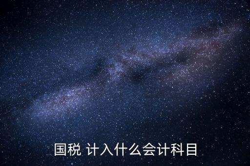 國稅申報記入什么科目，付國稅應(yīng)計入什么科目求解啊