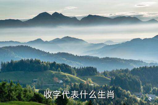 稅字代表什么生肖，十二生肖各代表什么字