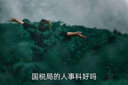 國稅人事科做什么，縣國稅局的人事歸哪里管基層分局的級別