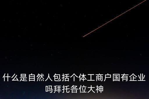 稅務(wù)上的自然人指的是什么，申請(qǐng)人為自然人的是什么意思