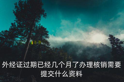 上海外經(jīng)證核銷資料要些什么，外經(jīng)證過期已經(jīng)幾個月了辦理核銷需要提交什么資料