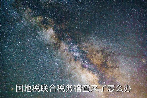 國地稅聯(lián)合稽查是什么意思，國地稅聯(lián)合稅費(fèi)申報(bào)什么意思