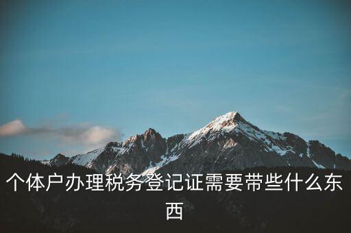個(gè)體稅務(wù)登記證需要什么材料，個(gè)體戶辦理稅務(wù)登記證需要帶些什么東西
