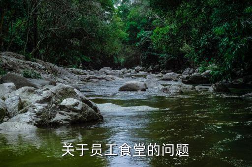 為什么國(guó)稅局有食堂，為什么高校食堂只免三年的增值稅