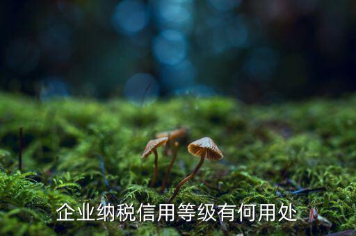 納稅等級(jí)有什么用，請(qǐng)問(wèn)什么是分級(jí)別納稅信用單位怎么得到這種稱號(hào)得到了又有啥好