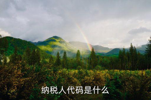 個(gè)人納稅人代碼是什么，納稅人代碼是什么