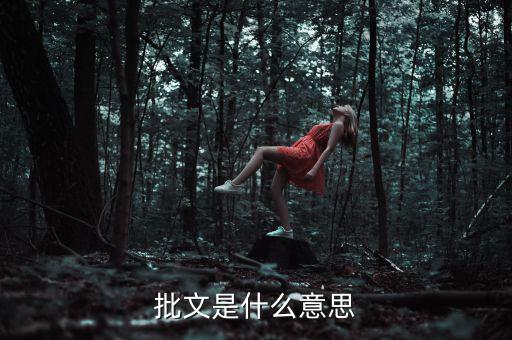 稅收個(gè)案批復(fù)是什么意思，批文是什么意思