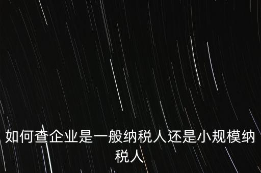 查詢公司什么納稅人，如何查企業(yè)是一般納稅人還是小規(guī)模納稅人