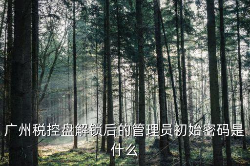 稅控盤管理員密碼是什么意思，廣州稅控盤解鎖后的管理員初始密碼是什么