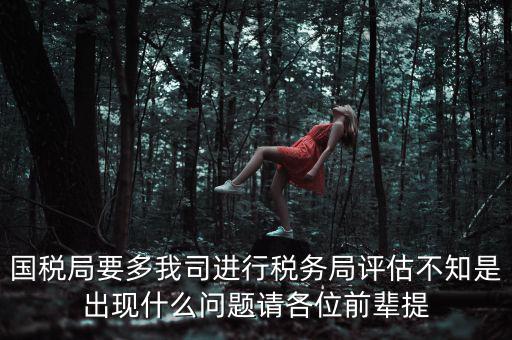 國(guó)稅評(píng)估局是干什么的，國(guó)稅局是做什么的說(shuō)簡(jiǎn)單點(diǎn)兒吧謝謝