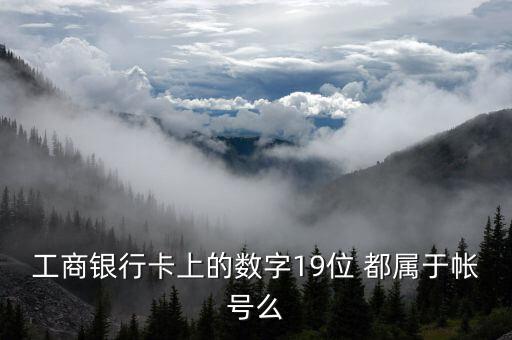 工行19位賬號應(yīng)用號是什么，請解釋工商銀行19位帳號的組成含義
