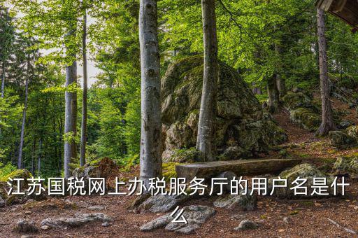 江蘇國(guó)稅用戶名密碼是什么意思，江蘇國(guó)稅網(wǎng)上辦稅服務(wù)廳的用戶名是什么