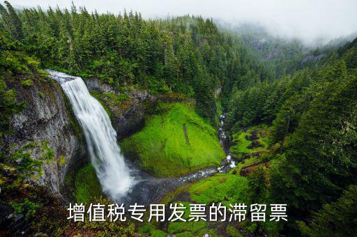 滯留票核查工作是干什么的，稅務(wù)局會查到期未抵扣的滯留增值稅專用發(fā)票嗎用來查帳外帳