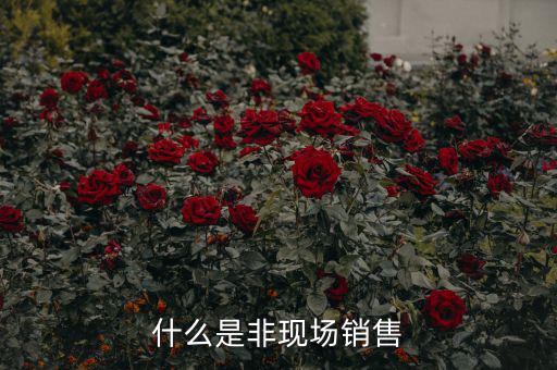 什么是非現(xiàn)場(chǎng)消費(fèi)食品，什么是非現(xiàn)場(chǎng)消費(fèi)的食品