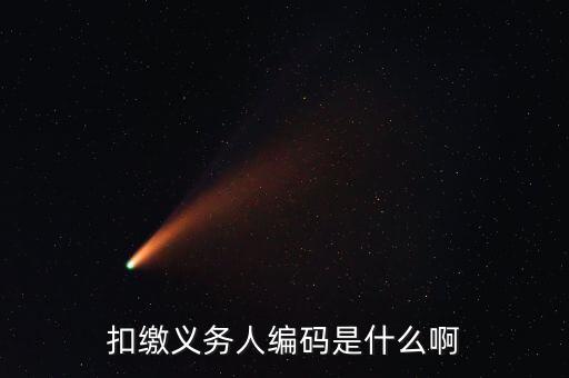 江西扣繳義務人編碼是什么，扣繳義務人編碼是什么號它和納稅人識別號是一個號嗎