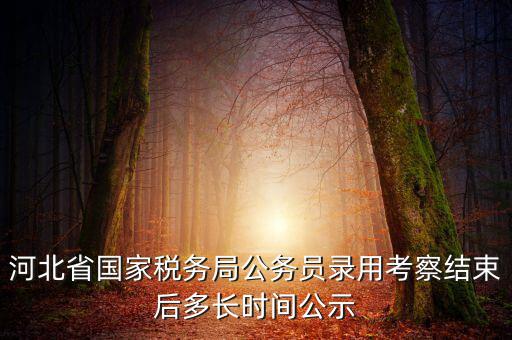 國稅一般什么時(shí)候公示，河北省國家稅務(wù)局公務(wù)員錄用考察結(jié)束后多長時(shí)間公示