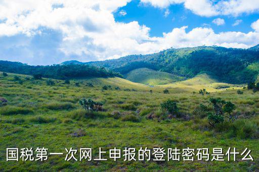 浙江國(guó)稅登入密碼是什么意思，稅務(wù)局網(wǎng)站的登入賬戶初始密碼是什么