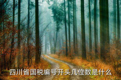 成都稅務(wù)號(hào)是什么單位，請(qǐng)問納稅人編碼是4419045002955是什么公司的