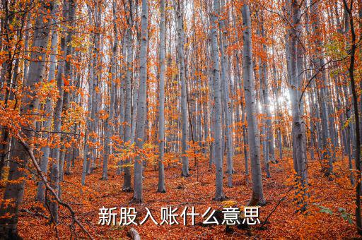 入賬機構什么意思，銀聯(lián)入賬是什么意思