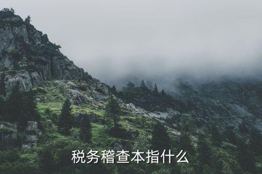 什么叫稅務(wù)稽查檢查科臺帳范本，稅務(wù)稽查本指什么