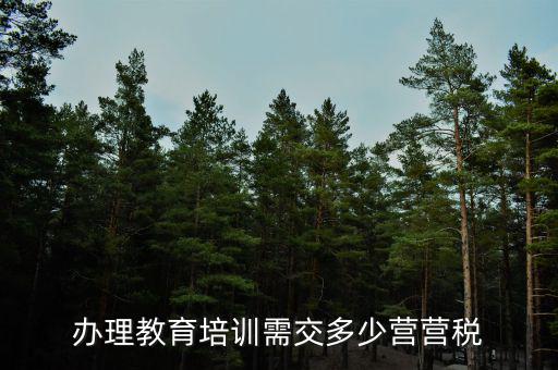 培訓(xùn)公司交什么稅，辦理教育培訓(xùn)需交多少營營稅