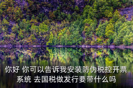 稅控發(fā)行是要做什么，稅控盤發(fā)行都呆哪些東西去稅務局需要法人去嗎