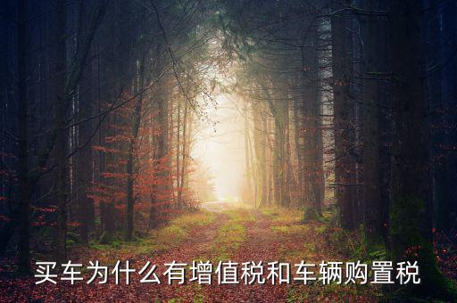 買(mǎi)車(chē)為什么有增值稅和車(chē)輛購(gòu)置稅