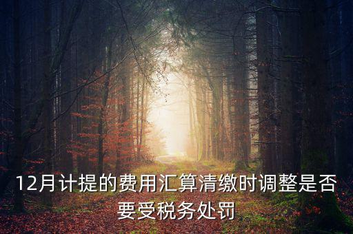 12月計提的費(fèi)用匯算清繳時調(diào)整是否要受稅務(wù)處罰