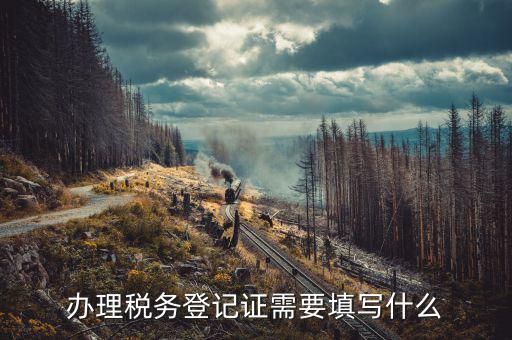稅務(wù)登記地址填什么，填寫(xiě)稅務(wù)登記地址是證件上的經(jīng)營(yíng)地址還是批準(zhǔn)設(shè)立機(jī)關(guān)的地址