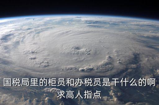 什么叫辦稅員，國稅局里的柜員和辦稅員是干什么的啊求高人指點(diǎn)