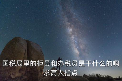 國(guó)稅志愿者可以做什么，國(guó)稅局里的柜員和辦稅員是干什么的啊求高人指點(diǎn)