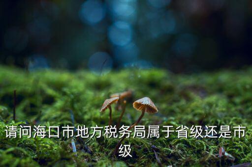 請(qǐng)問?？谑械胤蕉悇?wù)局屬于省級(jí)還是市級(jí)