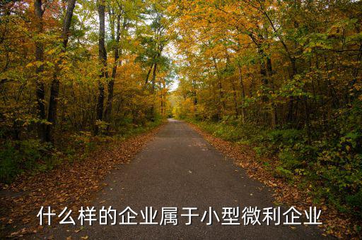 小型微利企業(yè)是什么意思，小型微利企業(yè)是怎么規(guī)定的