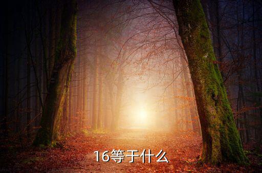 什么深圳1 6政策指，16等于什么