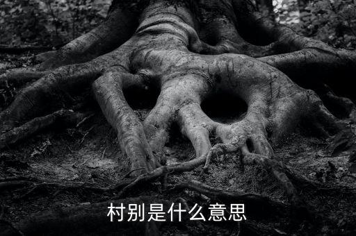 稅務(wù)所村審是什么意思，村別是什么意思