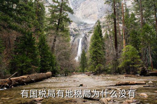 晨曦集團(tuán)地稅為什么少，社保為什么要地稅代扣