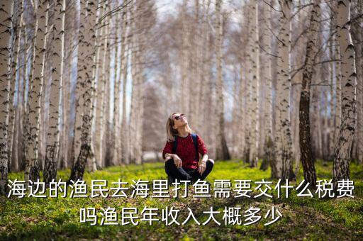 中國對(duì)漁民收什么稅，海南的漁民捕魚要交稅嗎大概一年要交多少