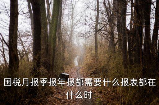國稅月報(bào)季報(bào)年報(bào)都需要什么報(bào)表都在什么時